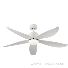 BLDC motor ceiling fan with light